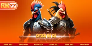 SV368 Đá Gà Tại RR99 - Trải Nghiệm Độc Đáo Và Thắng Lớn